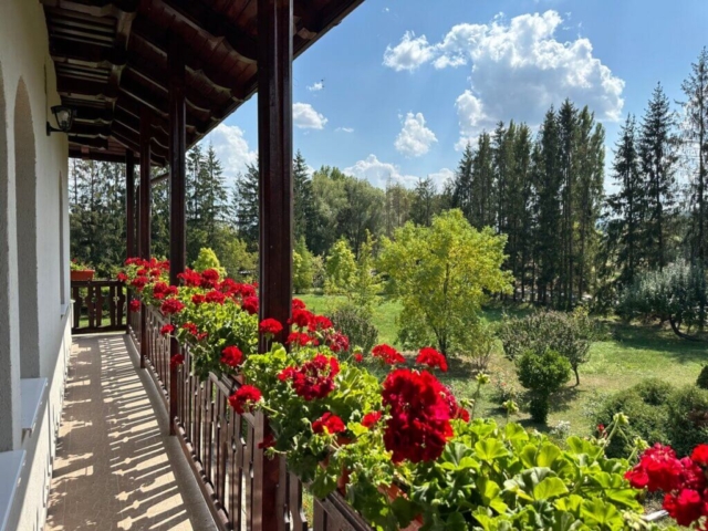 muscate la balcon